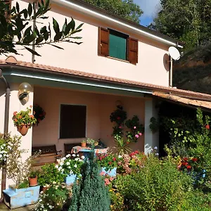 Bauernhof Mattale, Tonara